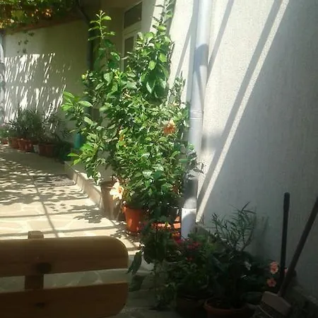 Casa de hóspedes Prestige 3*