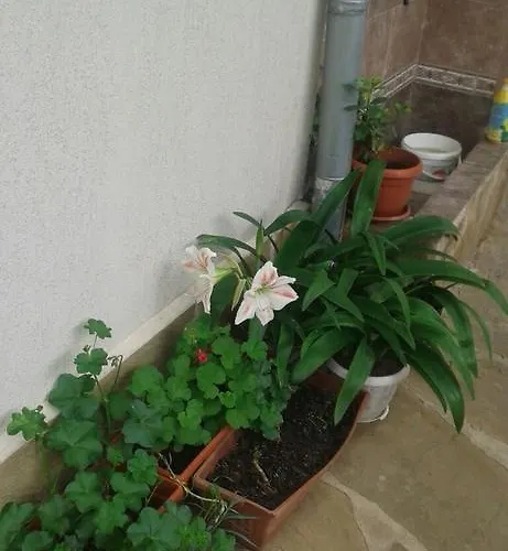 Prestige Къща за гости 3*