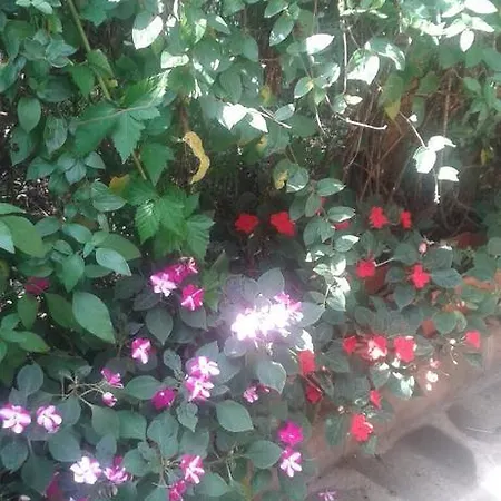 Vendégház Prestige