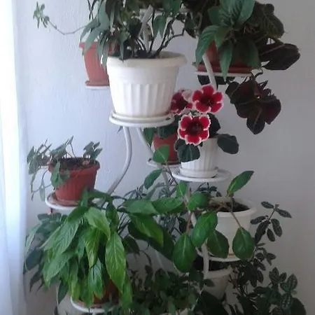 Prestige Vendégház Szinemorec