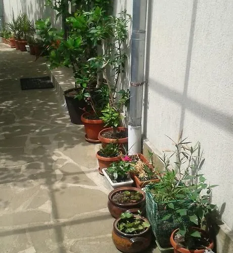 Prestige Πανσιόν