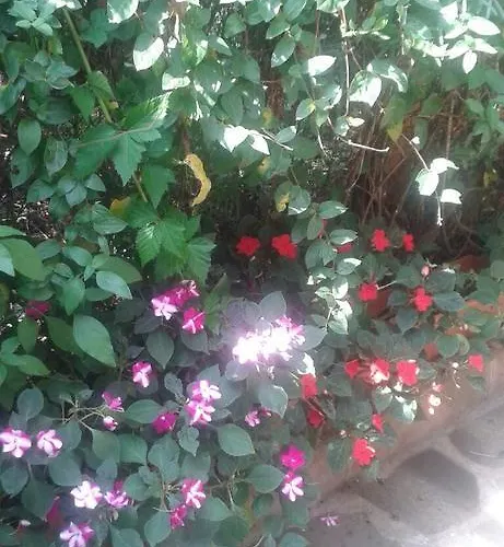 Πανσιόν Prestige